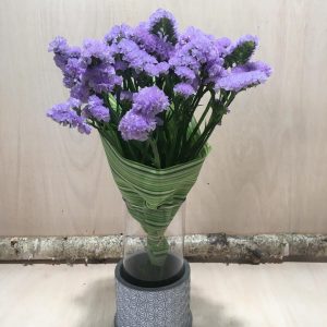 Statice malva