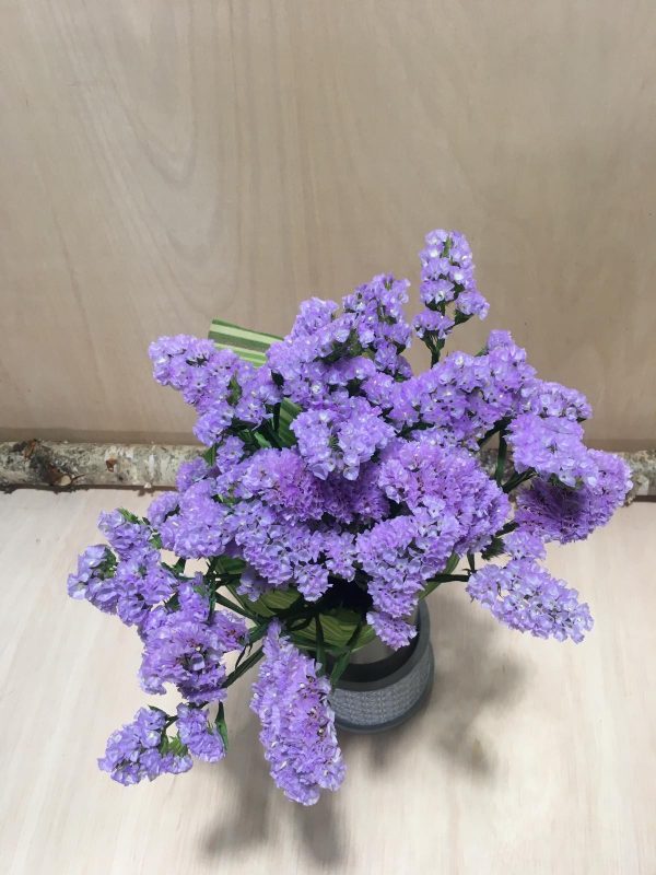 Statice malva
