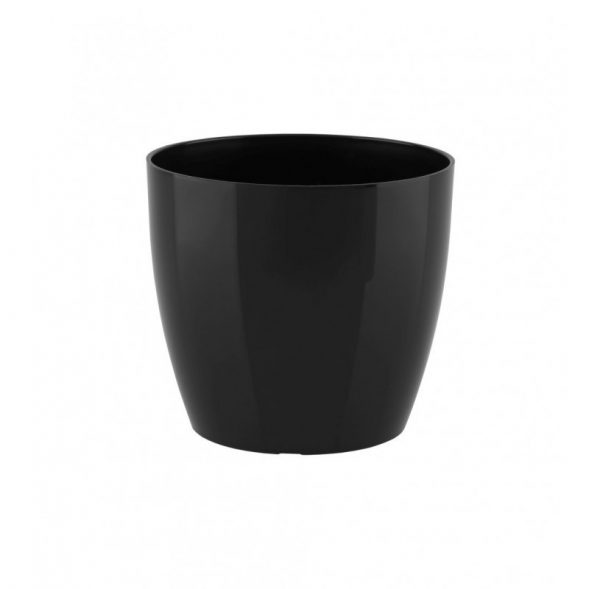 Syngonium Neon 11